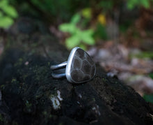 Load image into Gallery viewer, Double Banded Beaut; Size 7.75