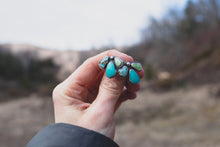 Load image into Gallery viewer, Petals #2