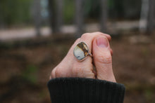 Load image into Gallery viewer, Jasper Dreams; Size 8.25
