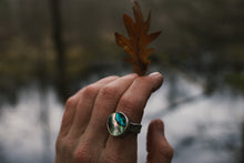 Load image into Gallery viewer, Abalone Sun Set; Size 7.25