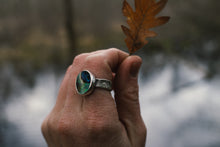 Load image into Gallery viewer, Abalone Sun Set; Size 7.25