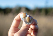 Load image into Gallery viewer, The Sunsetters