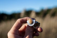 Load image into Gallery viewer, The Sunsetters