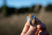 Load image into Gallery viewer, The Sunsetters