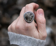 Load image into Gallery viewer, Petoskey Dreams; Size 9