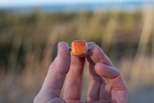 Load image into Gallery viewer, Coral Sunsets; Simple Size 9.5