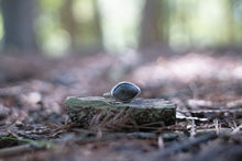 Load image into Gallery viewer, Petoskey Eye; Size 7.25