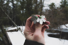 Load image into Gallery viewer, Green Daisy Studs