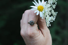 Load image into Gallery viewer, Golden Petoskey; Size 6