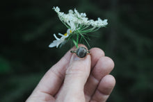 Load image into Gallery viewer, Golden Petoskey; Size 6