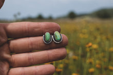 Load image into Gallery viewer, Presale for Lil Leaves Studs