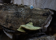 Load image into Gallery viewer, Little baby blue ring; Size. 7.5
