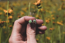 Load image into Gallery viewer, Little Green Studs