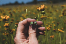 Load image into Gallery viewer, Little Green Studs