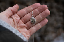 Load image into Gallery viewer, Petoskey Pebble