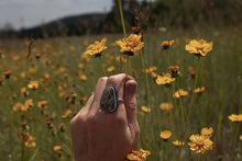 Load image into Gallery viewer, Toskey. Size 7.5