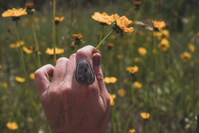 Load image into Gallery viewer, Toskey. Size 7.5