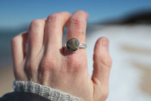 Load image into Gallery viewer, Simple Petoskey; Size 8.25