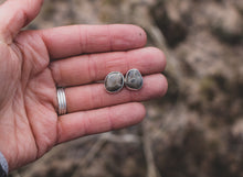 Load image into Gallery viewer, Petoskey Studs #3