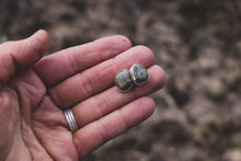 Load image into Gallery viewer, Petoskey Studs #3