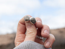 Load image into Gallery viewer, Petoskey Studs #3