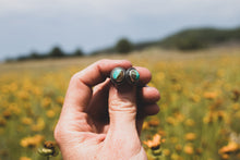 Load image into Gallery viewer, Presale for Lil Leaves Studs