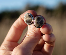 Load image into Gallery viewer, TOSKEY STUDS!