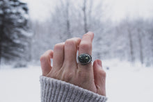 Load image into Gallery viewer, Turtleback; Size 6