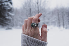 Load image into Gallery viewer, Turtleback; Size 6