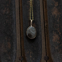 Load image into Gallery viewer, Goldie #2 ; petoskey
