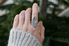 Load image into Gallery viewer, Northern bound ring; Size 10
