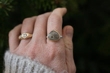 Load image into Gallery viewer, Petoskey in Gold ; Size 8
