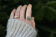 Load image into Gallery viewer, Petoskey in Gold ; Size 8
