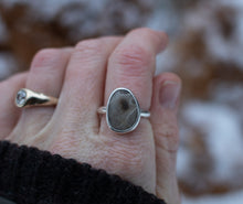 Load image into Gallery viewer, Dazed Petoskey ; size 7.5
