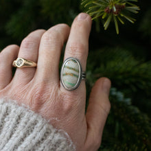 Load image into Gallery viewer, Royston Ribbon ; size 8
