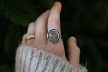 Load image into Gallery viewer, Petoskey shadowbox ; Size 7
