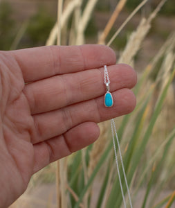 Little Egyptian Turquoise