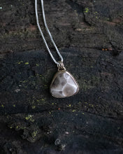 Load image into Gallery viewer, Petoskey Necklace #3; With Gold!
